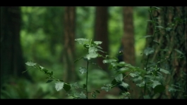 Keep Breathing - Season 01 Episode 04